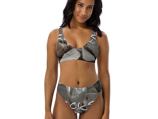 Recycled high-waisted bikini